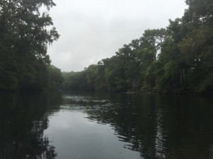 Ginnie Springs 3 - Santa Fe River