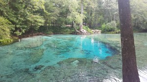 Ginnie Springs 2