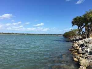 Looking east to the inlet