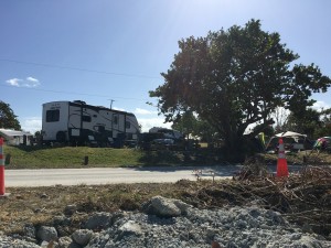 Looking back at our site from the water's edge